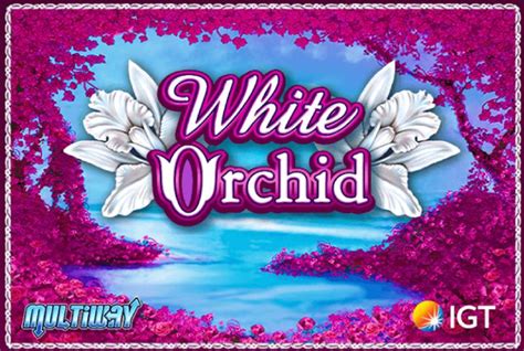 white orchid slots free download.
